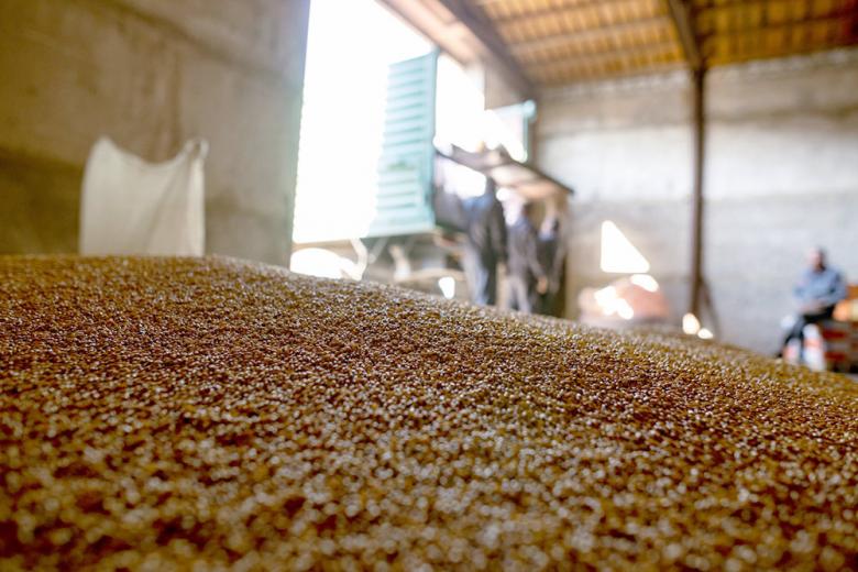 Цены на пшеницу в России стали минимальными за текущий год